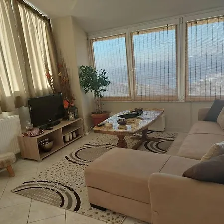 View Of The Whole *