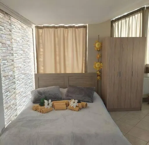 View Of The Whole Apartament