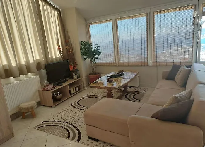 View Of The Whole *